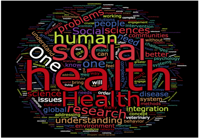 One Health Social Sciences Initiative - One Health Commission